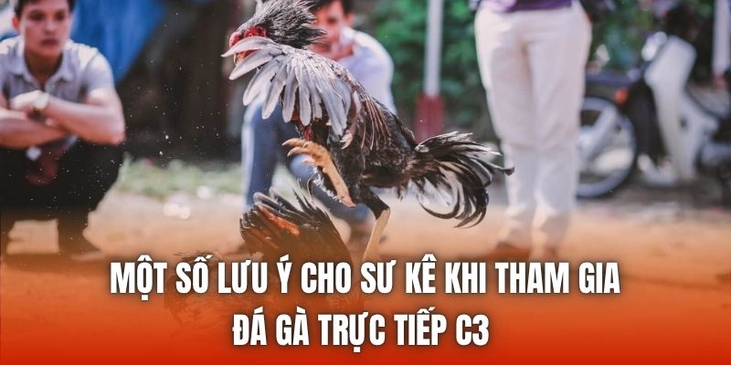 Một số lưu ý cho sư kê khi tham gia đá gà trực tiếp C3 